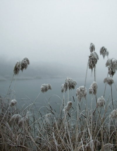 A Kapucsi-réti tó télen